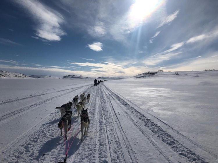 Levajok Lodge Tana Buitenkant foto