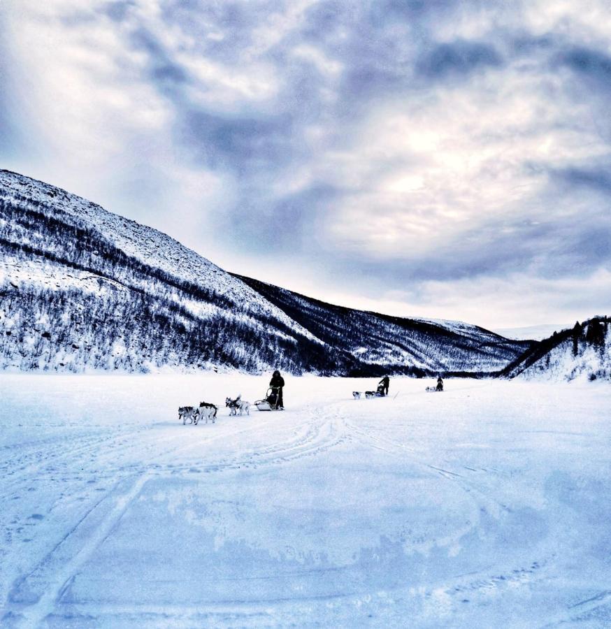 Levajok Lodge Tana Buitenkant foto