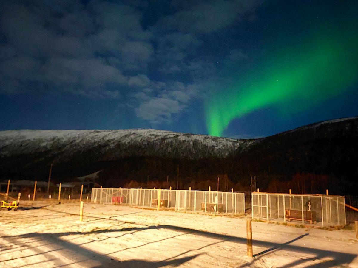 Levajok Lodge Tana Buitenkant foto